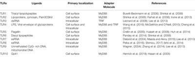 Therapeutic Targeting of Innate Immune Receptors Against SARS-CoV-2 Infection